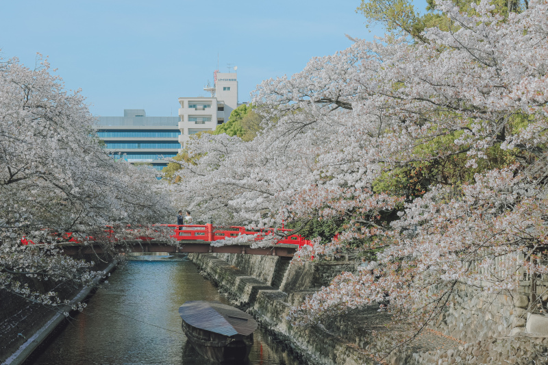【大垣】和装1着ロケーション 100～150カット前後データ付／大垣への出張費／専門店の豊富な衣装からお選び頂けます