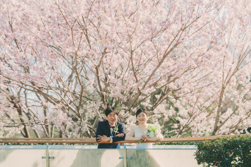 ≪桜フォト≫【長良公園・木曾三川公園など】洋装1着 100～150カット前後データ付／他のロケ地でもＯＫ／専門店の豊富な衣装