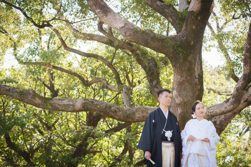 木漏れ日差し込む木の下で