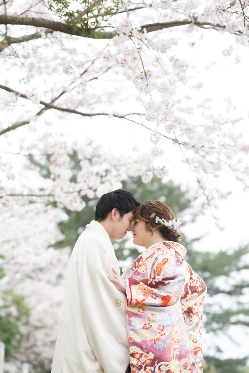 【3月下旬~4月上旬】春限定！桜前撮りプラン「和装ロケーションプラン」