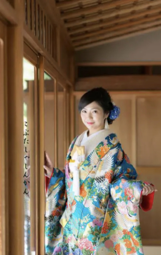 全プラン対象　青