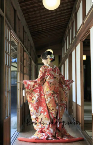 全プラン対象　朱ピンク