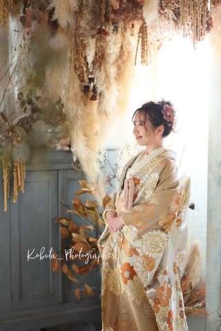 ハーフプラン用　ブラウンゴールド