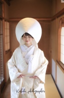 全プラン対象　鳳凰