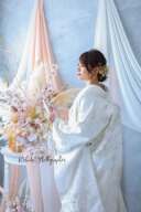 全プラン対象　孔雀キラキラ