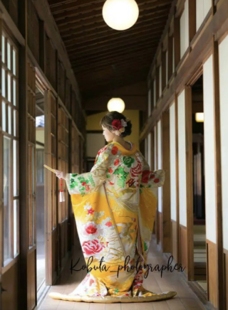 全プラン対象　山吹色