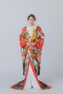 穂稀