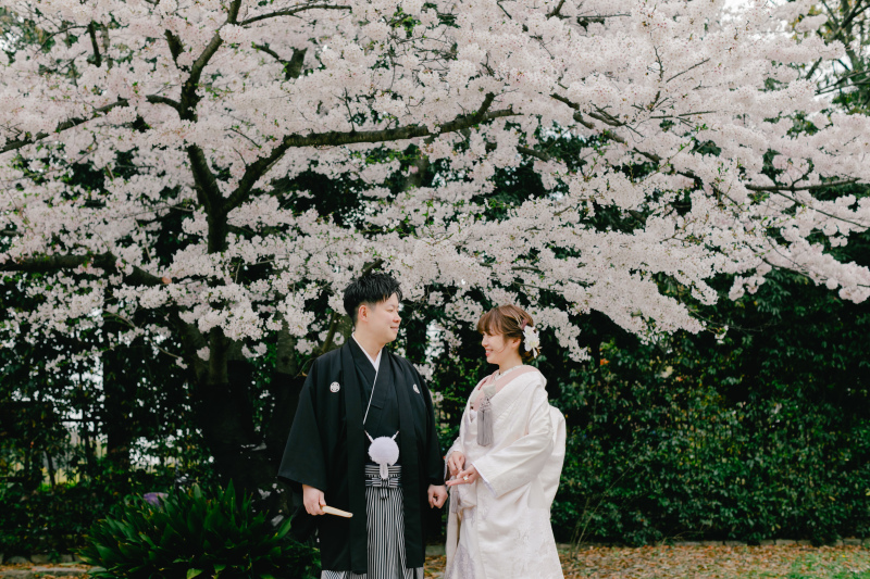 桜の木の下で