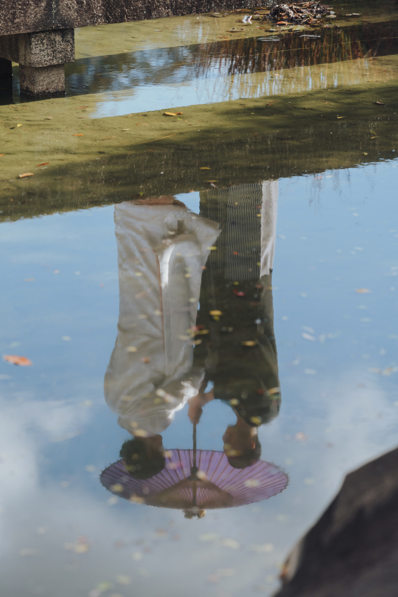 リフレクション
