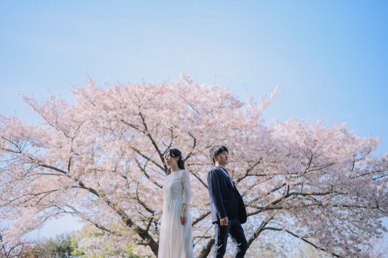 桜と青空とふたり