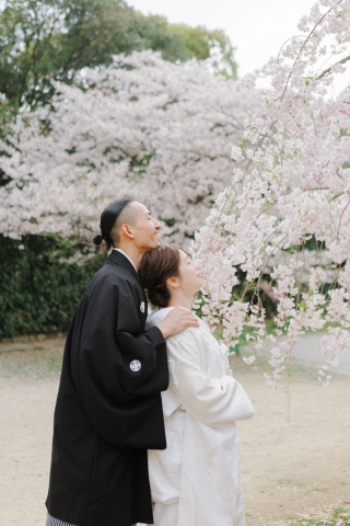 スタジオゼロ大阪店_桜◎Photo