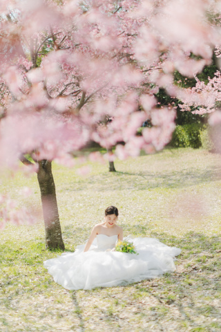 スタジオゼロ大阪店_桜◎Photo