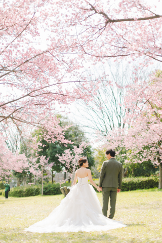 スタジオゼロ大阪店_桜◎Photo