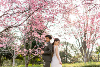 スタジオゼロ大阪店_桜◎Photo