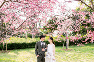 スタジオゼロ大阪店_桜◎Photo