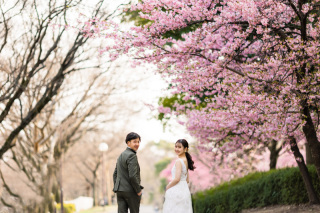 スタジオゼロ大阪店_桜◎Photo