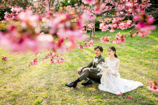スタジオゼロ大阪店_桜◎Photo