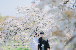 スタジオゼロ大阪店_桜◎Photo