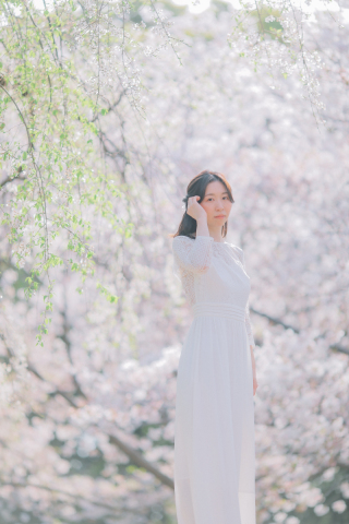 スタジオゼロ大阪店_桜◎Photo