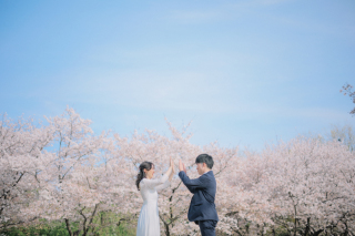 スタジオゼロ大阪店_桜◎Photo