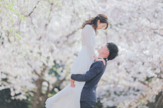 スタジオゼロ大阪店_桜◎Photo