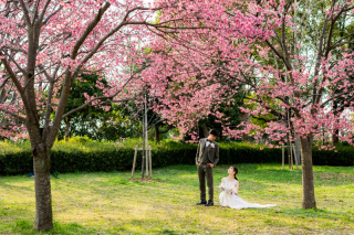 スタジオゼロ大阪店_桜◎Photo