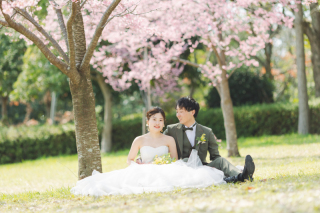 スタジオゼロ大阪店_桜◎Photo