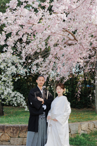 スタジオゼロ大阪店_桜◎Photo