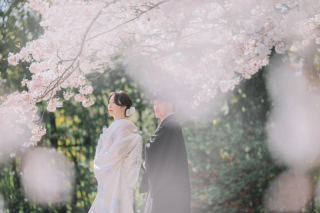 スタジオゼロ大阪店_桜◎Photo
