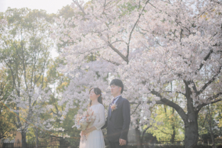 スタジオゼロ大阪店_桜◎Photo