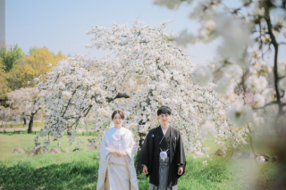 スタジオゼロ大阪店_桜◎Photo
