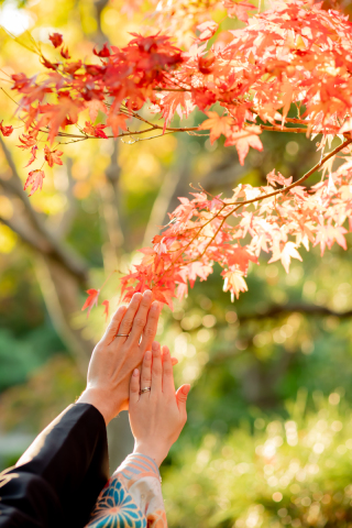 スタジオゼロ大阪店_紅葉◎Photo