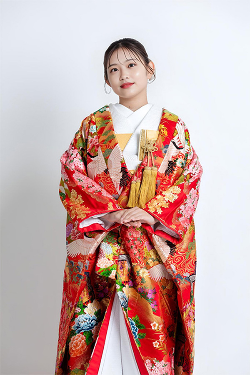 四季彩鶴