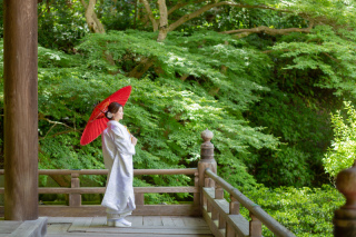 新緑の季節