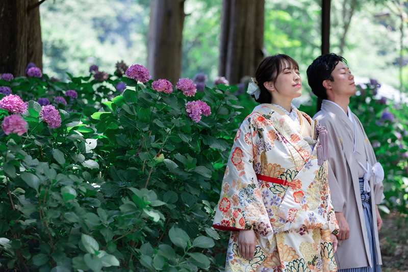 紫陽花と涼
