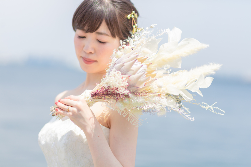 美しい一枚を。