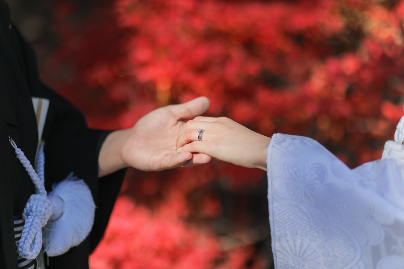 これからの紅葉に向けて♪