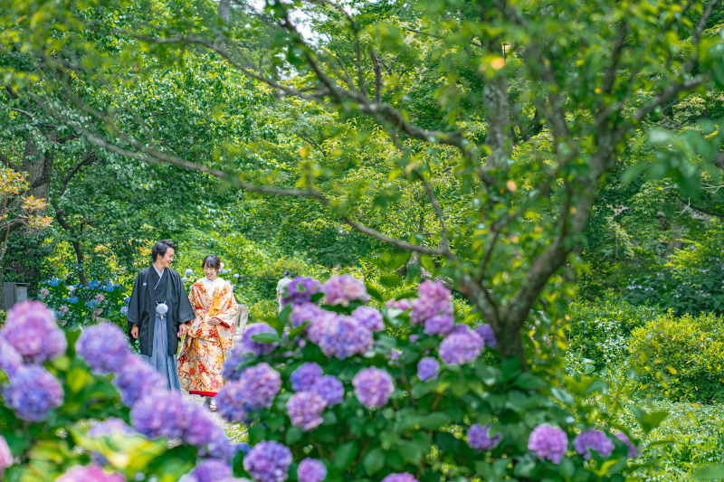 三溪園 &times; 紫陽花