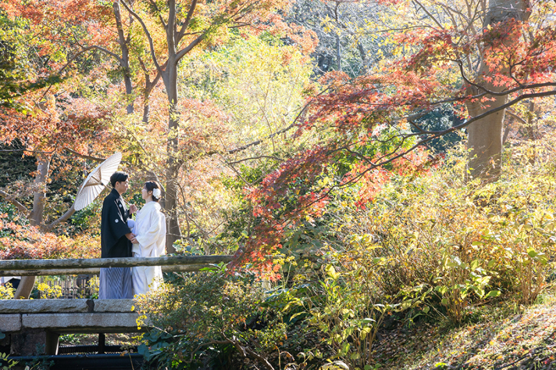 紅葉と