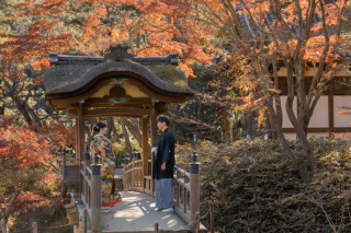 日本庭園で紅葉撮影