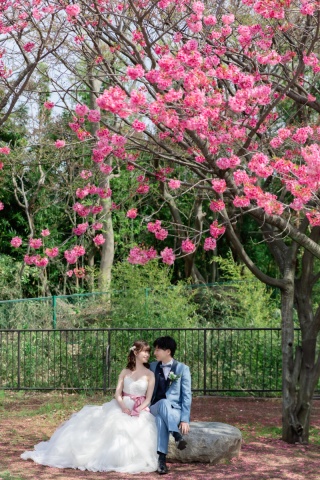 スタジオゼロ横浜店_本牧山頂公園