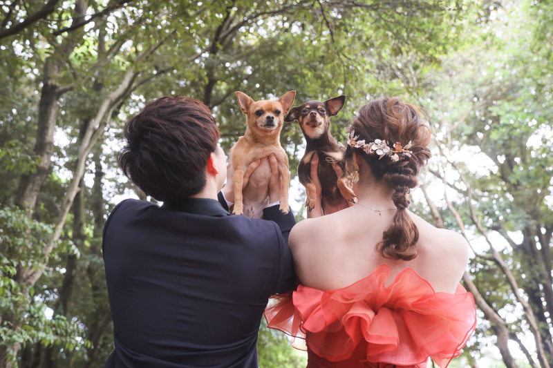 洋装 秘密の森 ビーチ ペット