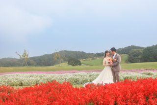 和・洋装　　秘密の森・あわじ花さじき