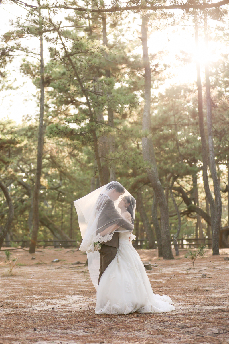 ベールに包まれて