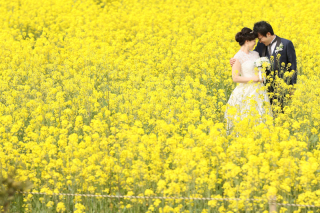 花畑&ビーチ　ウエディングロケーション撮影