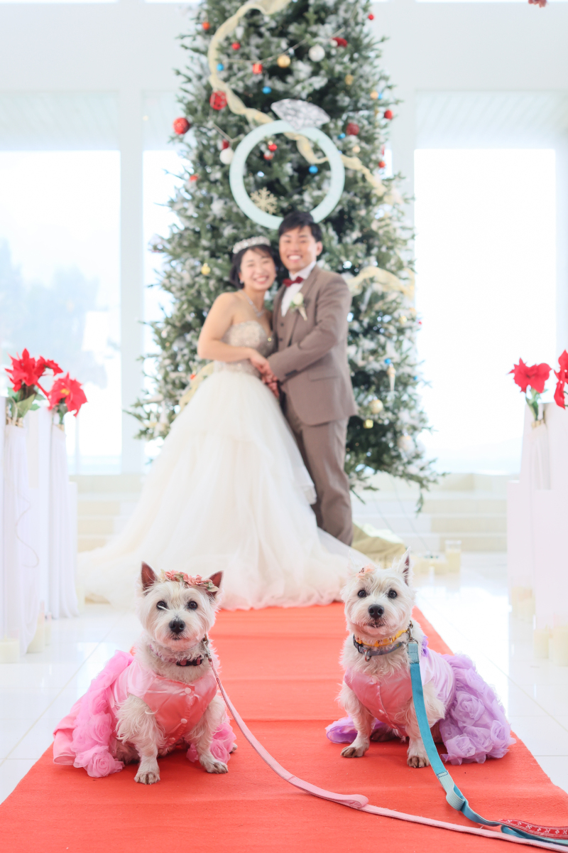 ペットと一緒♡