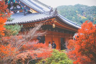 秋の紅葉　和装ロケーション撮影