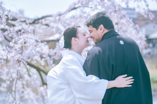 和装　桜　八坂・鴨川
