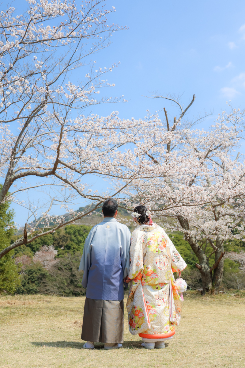 お花見