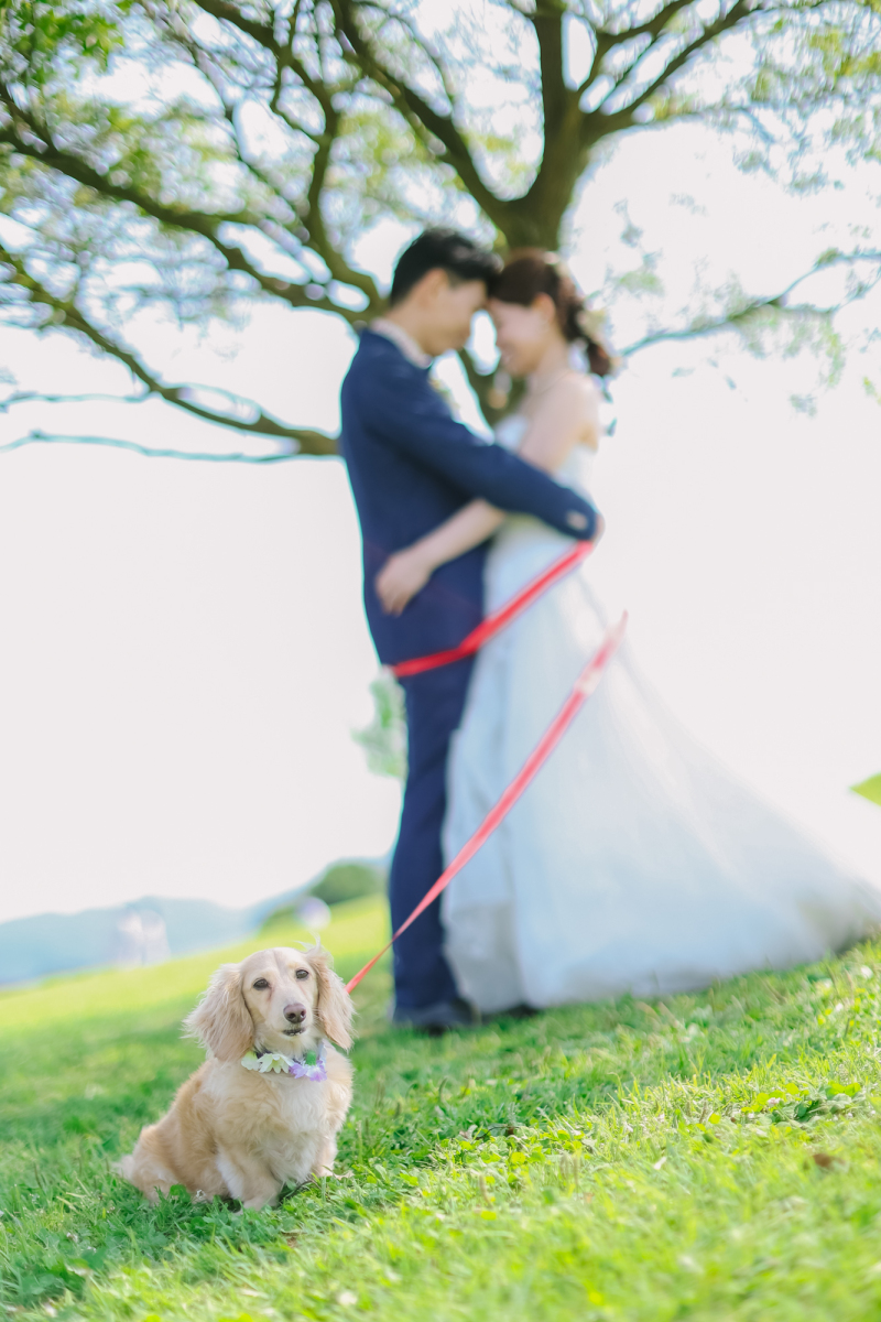 運命の赤い糸ならぬ赤いリード!?